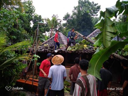 Bencana Pohon Tumbang